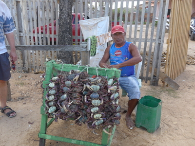 Krabbenverkäufer in Braganca, Brasilien