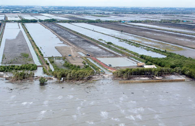 Foto einer industriellen Zuchtanlage im ehemligen Mangrovengebiet